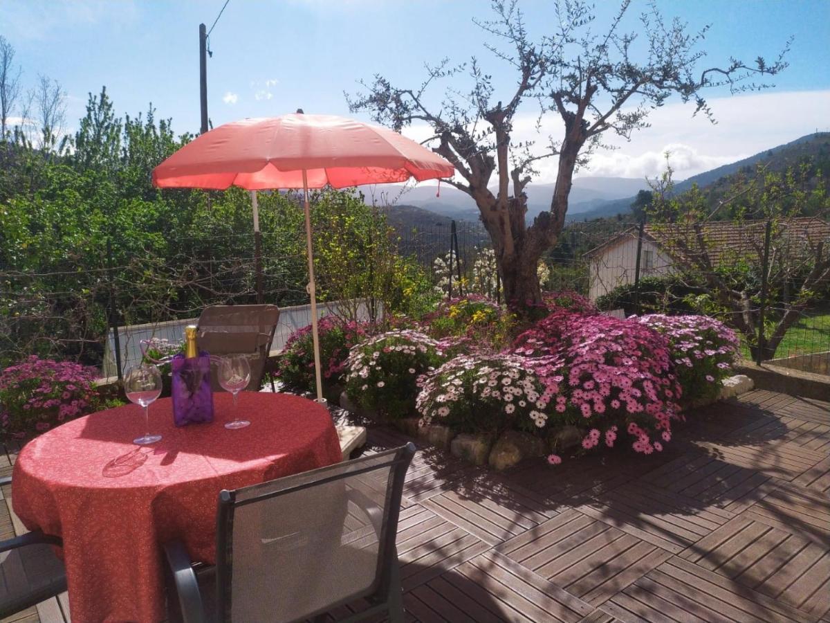 Studio Le Romantique A 20 Kms De Nice Bendéjun Eksteriør bilde